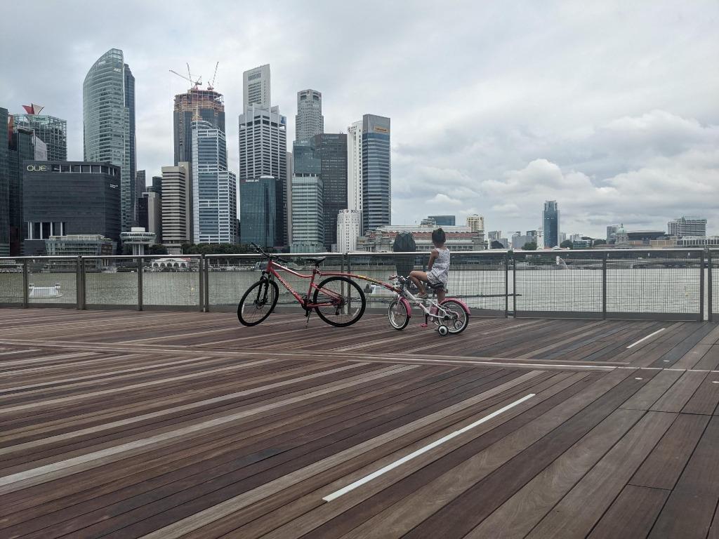 the-longest-bike-in-singapore-hybrid-bike-kid-s-bike-trailgator