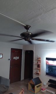 (Category: ) located in . Submitted by teojerah (Listing ID 1122692269, Image 1). Description: .
