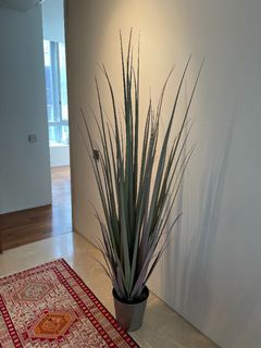 (Category: ) located in . Submitted by jt838 (Listing ID 1122549050, Image 1). Description: .