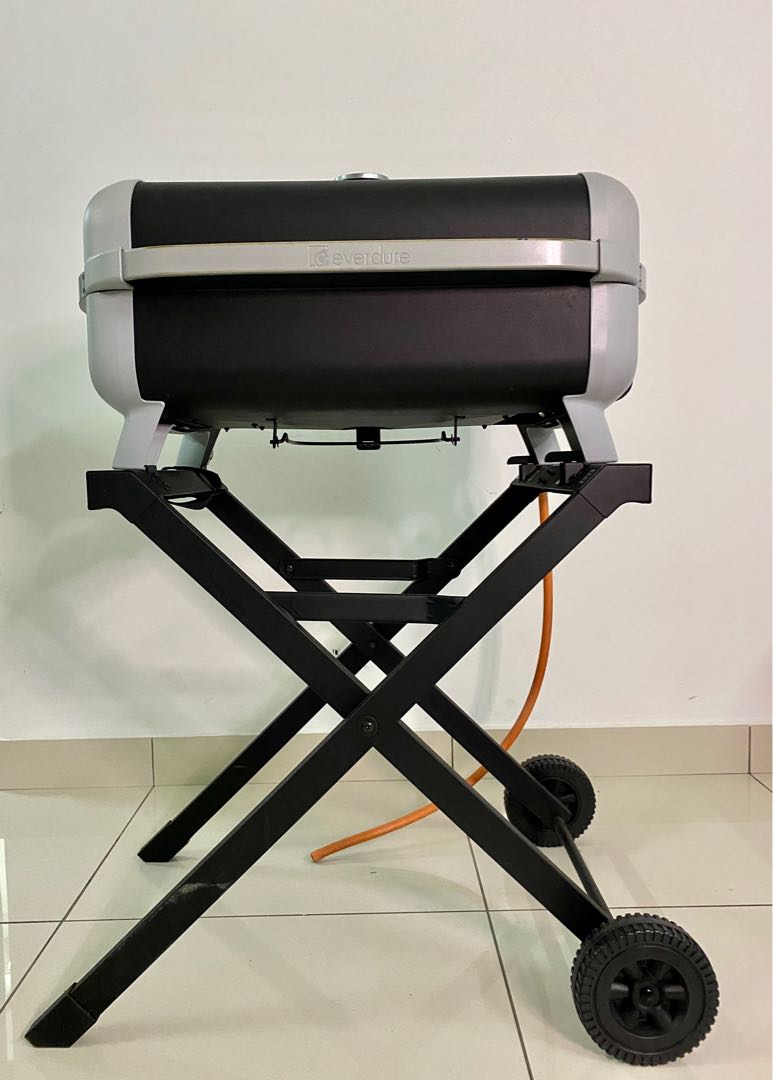 Everdure neo store buddy bbq