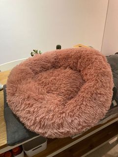 big pink dog bed