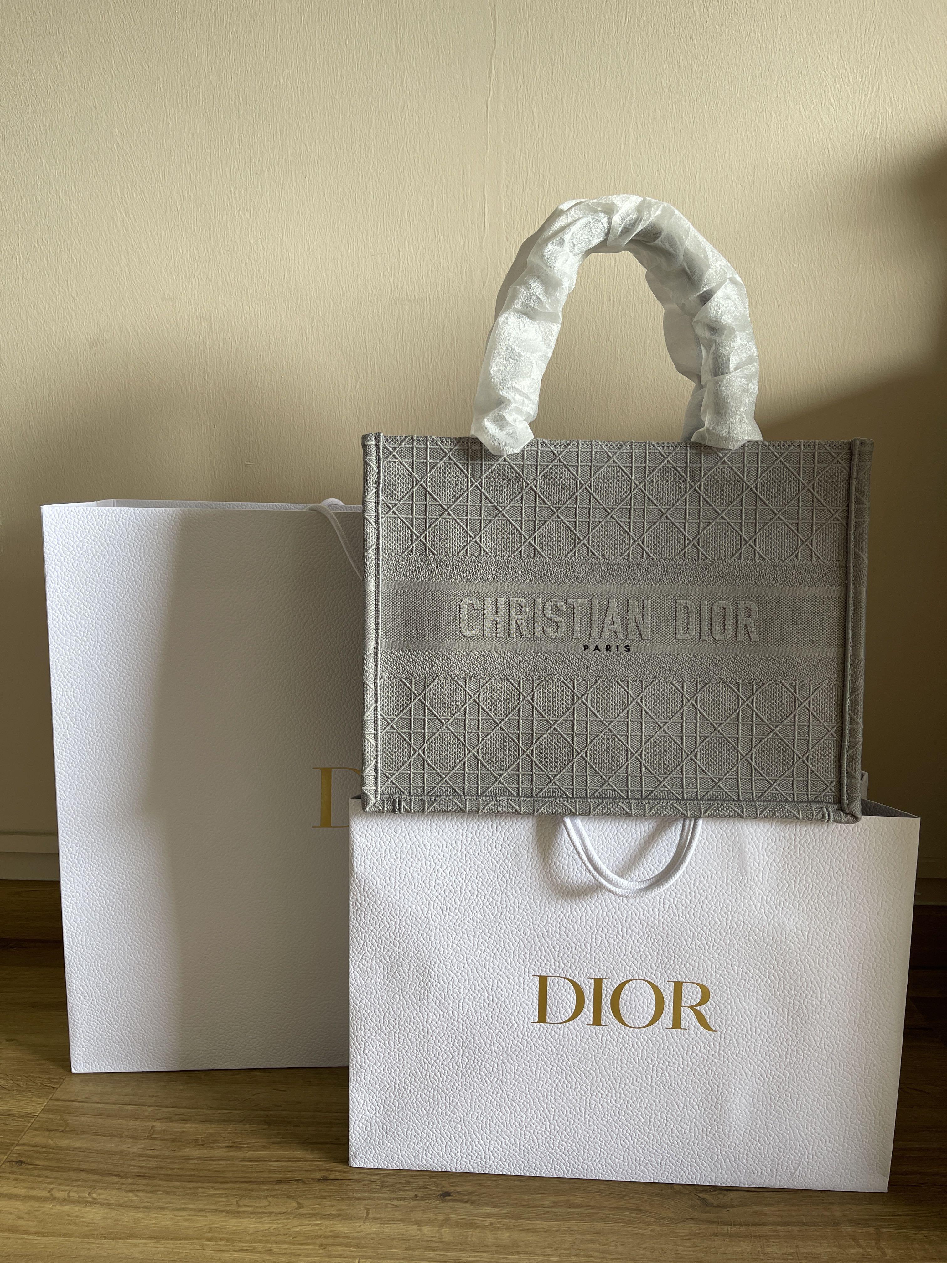 Dior Book Tote Review - Life with NitraaB