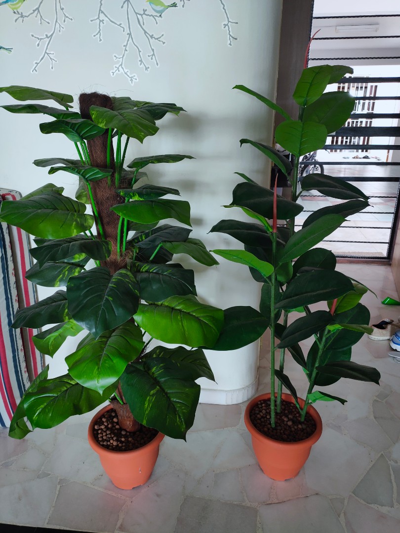 Fake indoor plants, Furniture & Home Living, Gardening, Plants & Seeds