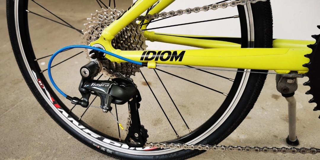 biking 30 minutes a day