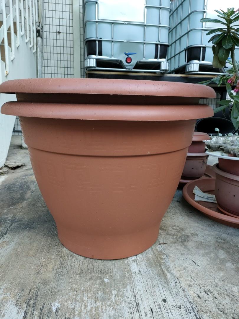 Large plastic terracotta pots and dishes, Furniture & Home Living