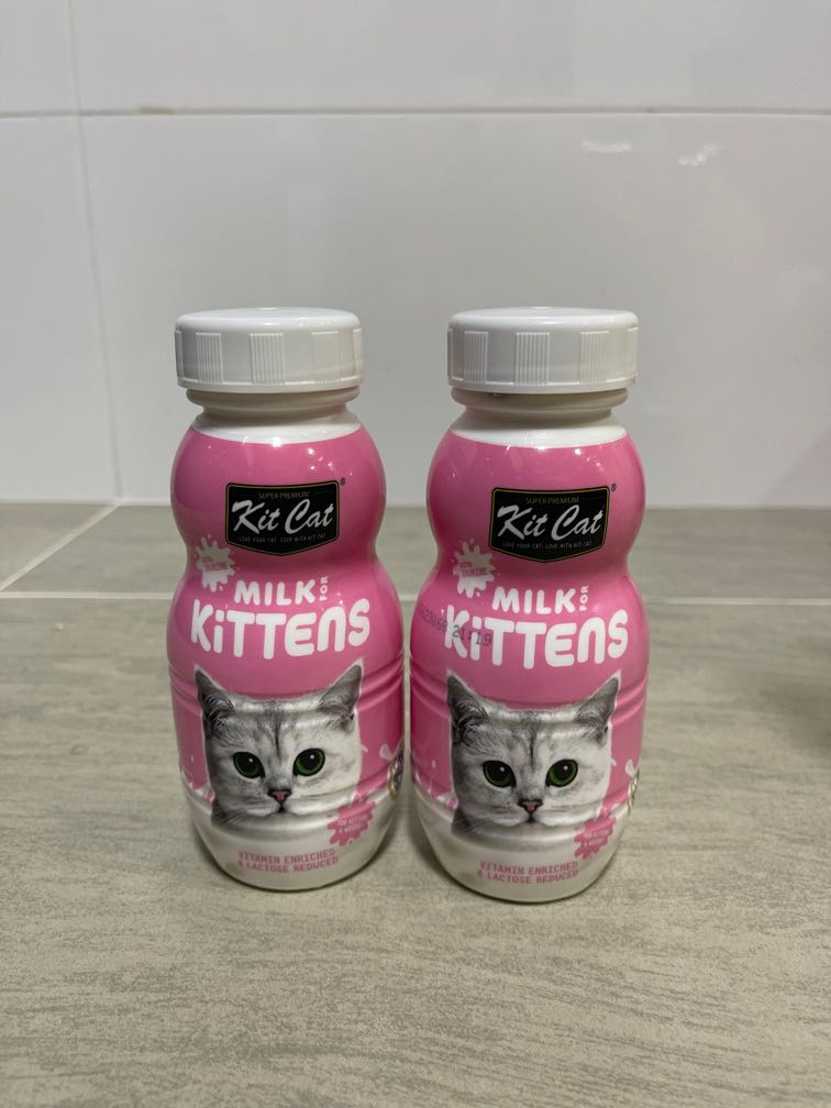 Kit Cat kitten milk, Pet Supplies, Pet Food on Carousell