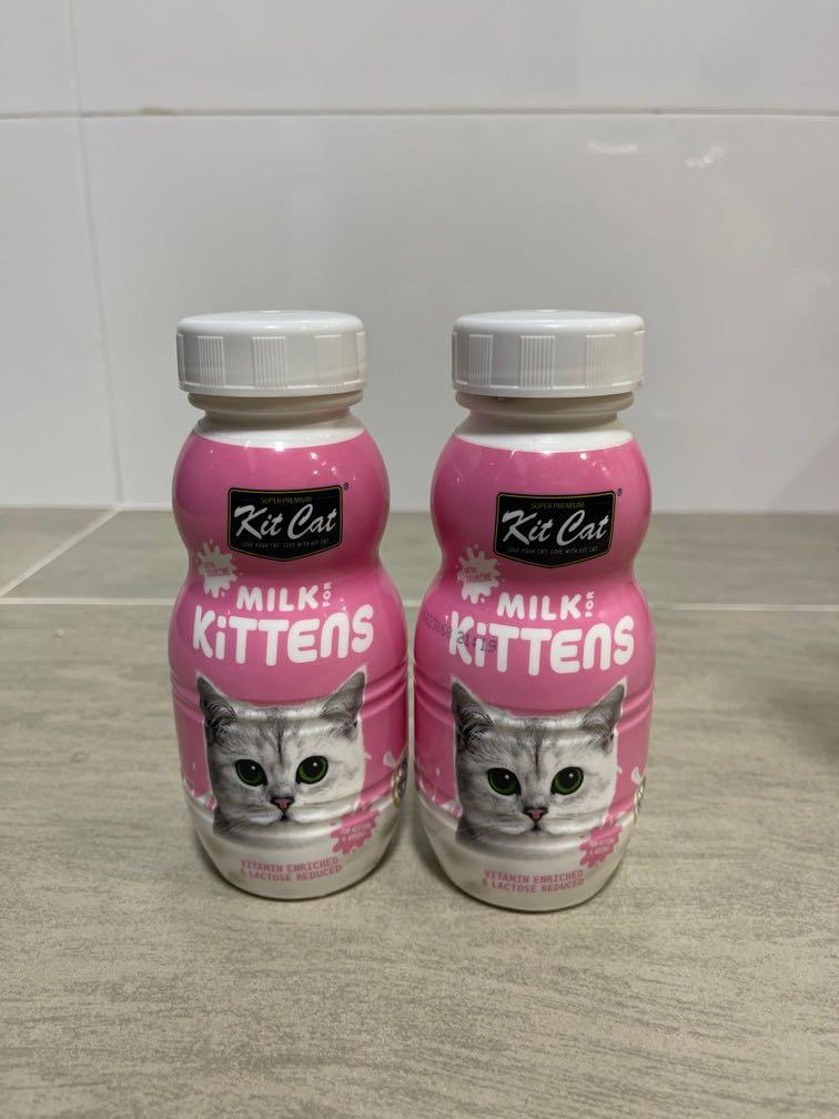 Kit Cat kitten milk, Pet Supplies, Pet Food on Carousell
