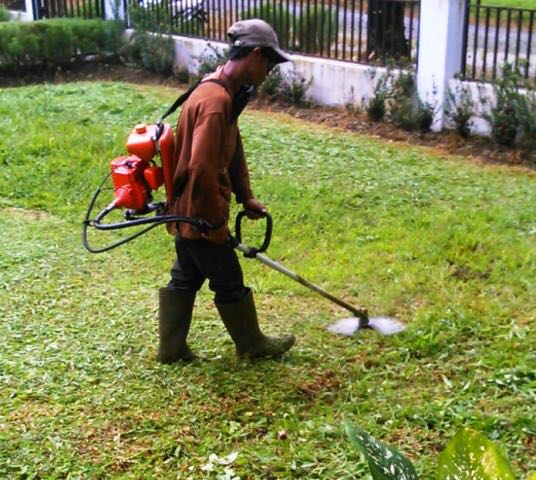 Mesin Rumput, Everything Else, Others on Carousell