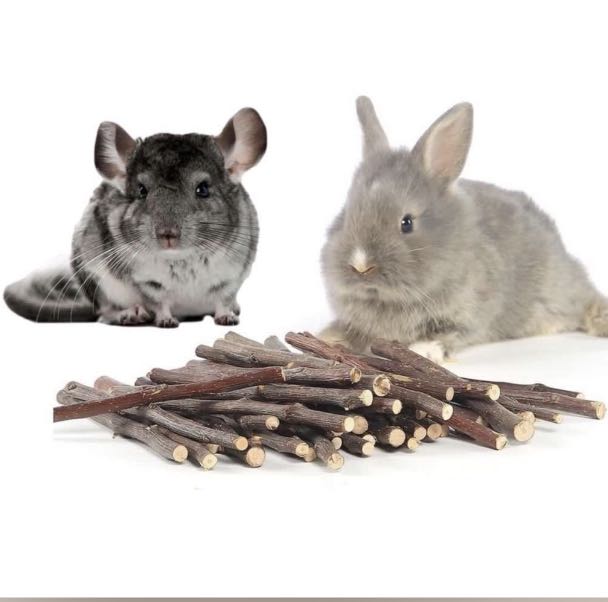50g Apple Wood Chew Stick Twig Pet Supplies Rabbit Rat Toy Tree Branches 15cm 