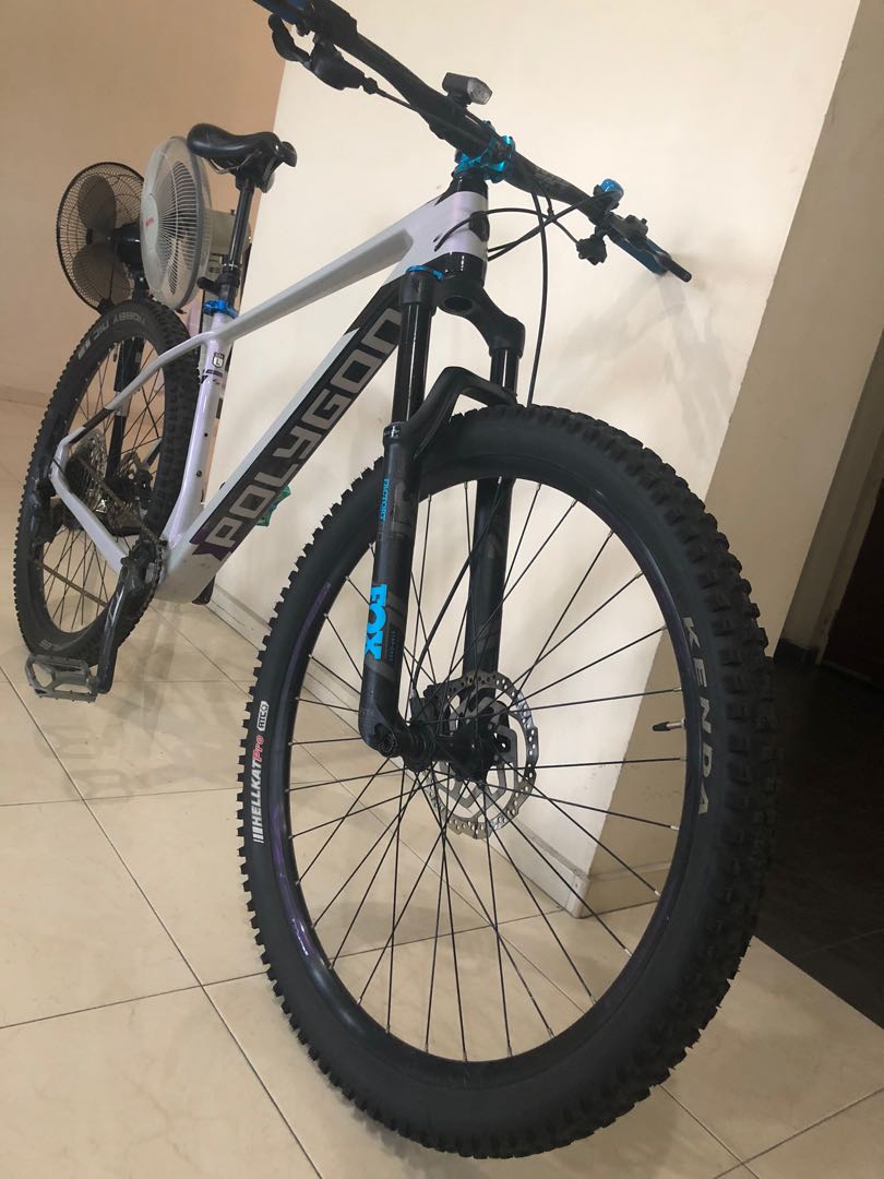 polygon 29er