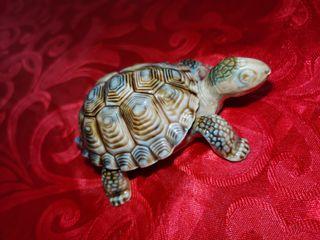 Wade porcelain turtle trinket