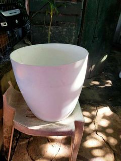 (Category: ) located in . Submitted by venus_garden (Listing ID 1122719751, Image 1). Description: .