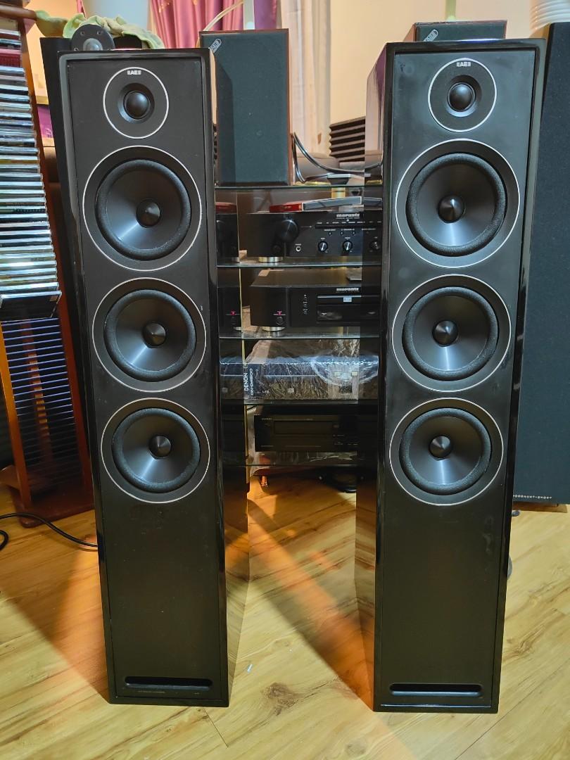 Acoustic energy ae 305 clearance