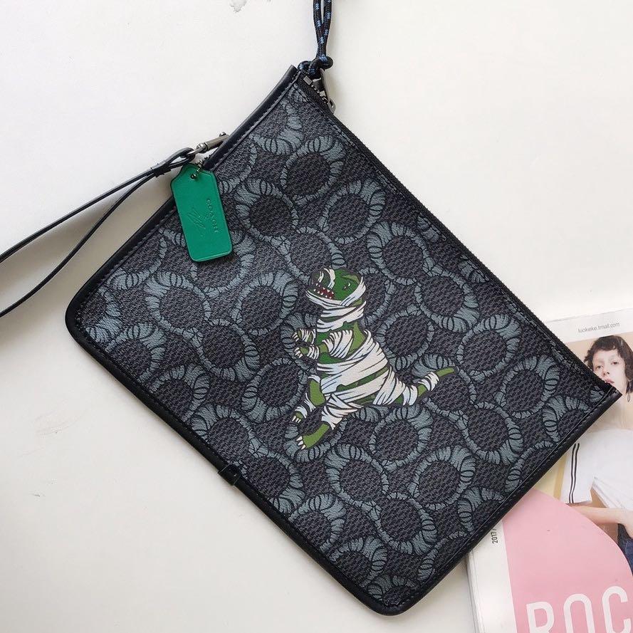 Coach hot sale dinosaur clutch