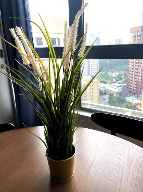 FEJKA Artificial Potted Plant, Grass, 52cm with DAIDAI pot, Furniture & Home Living, Home Decor