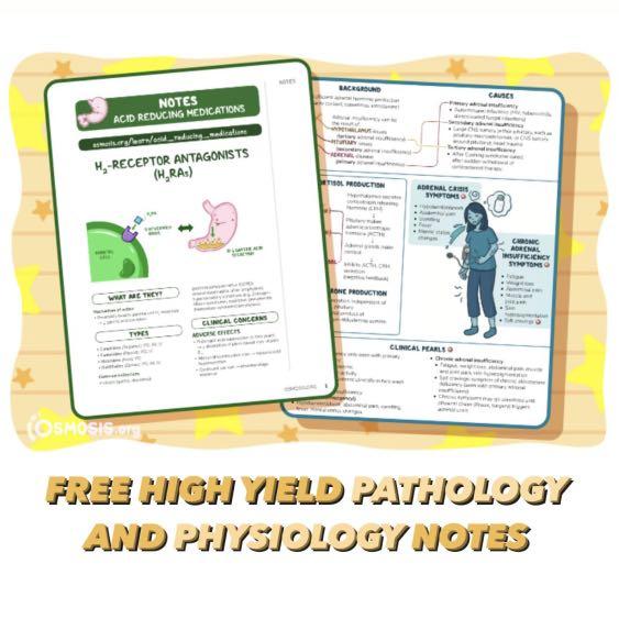 Osmosis Prime High-Yield Medical Videos/Notes | MBBS | MD | USMLE | Pre ...
