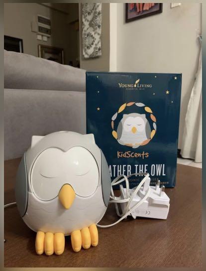 Owl diffuser YL (Category: Other Home Decor) located in Kuala Lumpur. Submitted by bfly7 (Listing ID 1122874812, Image 1). Description: Got this as present. Never used.