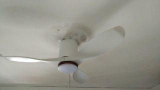 (Category: ) located in . Submitted by eddy72_2024 (Listing ID 1122789913, Image 1). Description: .
