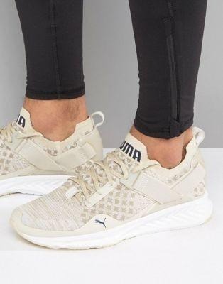 Puma IGNITE evoKNIT Lo Pavement