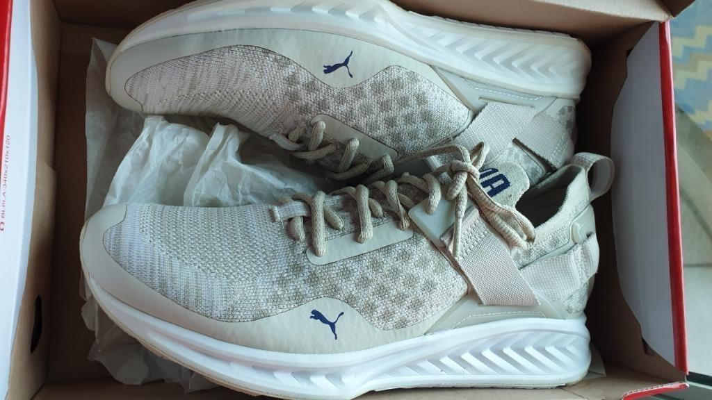 Puma IGNITE evoKNIT Lo Pavement