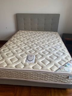 （分類：）位於 。 由 pureturtle.1f1a1a 提交（商品編號 1122811873，圖片 1）。簡介： 。