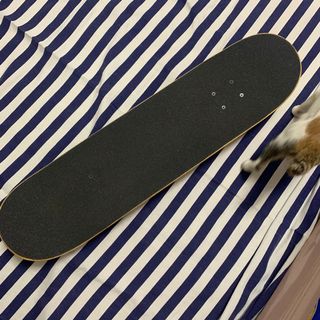 （分類：）位於 。 由 tiny154 提交（商品編號 1117485855，圖片 1）。簡介： 。