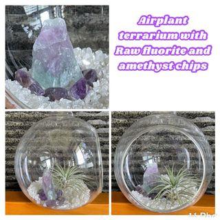 Airplant terrarium air plant with crystal raw fluorite and amethyst chips tillandsia ionanatha