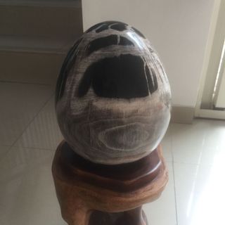 (Kategori: ) berada di . Dikirim oleh lesinge (ID iklan 1117497821, Gambar 1). Deskripsi: .