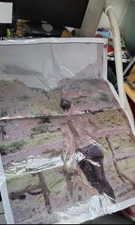 由 silenthawk_f8d2ef (刊登 ID 1117541483，圖片 1) 提交，位於 的 (類別：)，說明：。