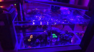 (Category: ) located in . Submitted by andy871600000 (Listing ID 1117528390, Image 1). Description: .