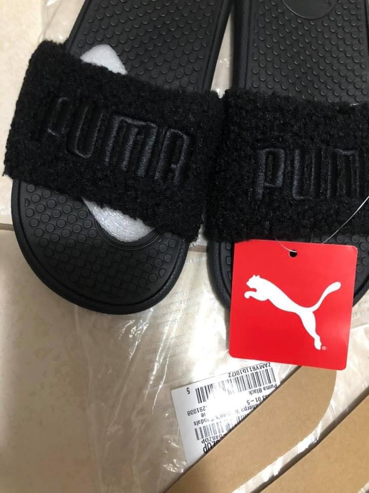 female puma slides