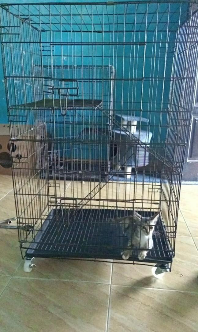 Sangkar Kucing 2 Kaki 2 Tingkat / Cat Cage 2 Level - ANAK KUCING 