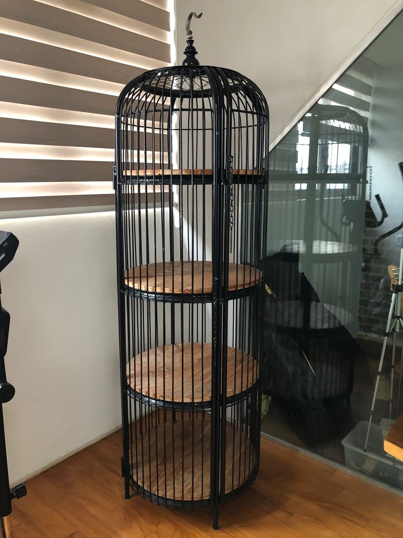 Bird cage display Furniture & Home Living, Furniture, Shelves
