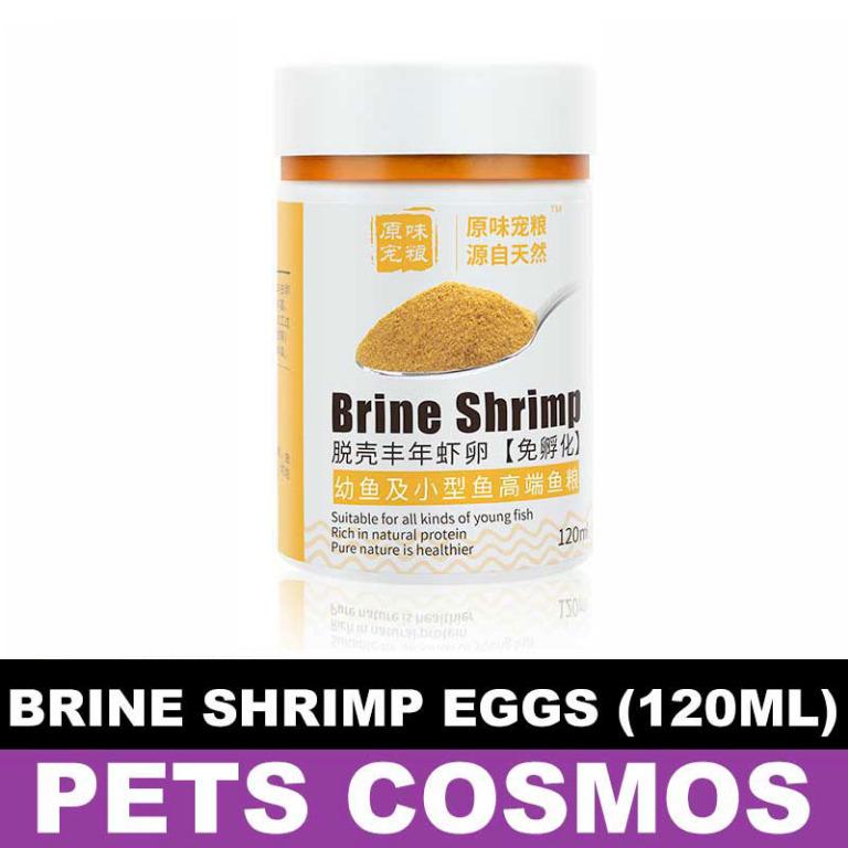 Brine Shrimp Eggs Feed Fish Food Protein for Baby Guppies Pet Supplies Pet Food on Carousell