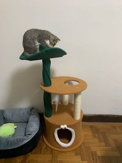 (Category: ) located in . Submitted by fuzzyfu (Listing ID 1117789407, Image 1). Description: .