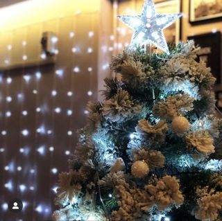 (Category: ) located in . Submitted by tai.tiang (Listing ID 1117712874, Image 1). Description: .