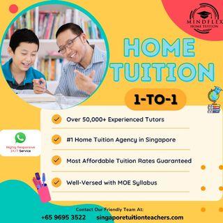 Find A Top Tutor In 6 Hours! PSLE O N A Level IB IGCSE AP Preschool Kindergarten Primary Secondary JC Poly ITE Uni English Science Math Chinese Malay Tamil Chemistry Biology Physics POA Accounting Econs GP Literature History Geography Tuition Teacher