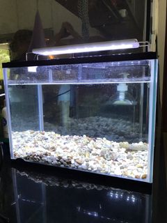 (Category: ) located in . Submitted by rolacola (Listing ID 1117656153, Image 1). Description: .