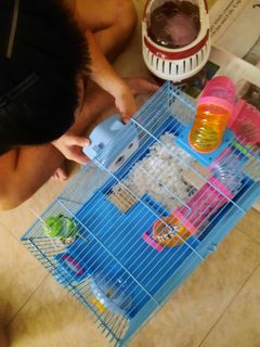 (Category: ) located in . Submitted by reg_inee (Listing ID 1117694601, Image 1). Description: .