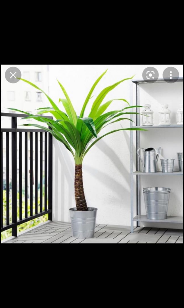 Ikea artificial palm tree, Furniture & Home Living, Home Decor
