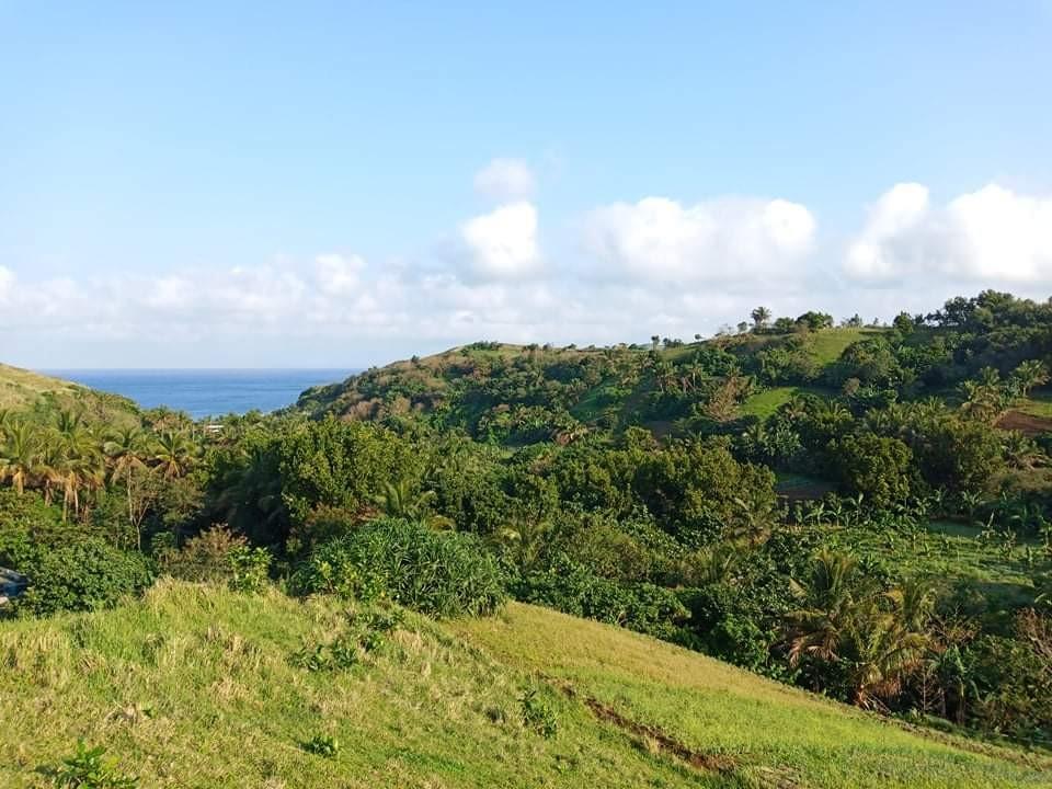LF Ivatan Buyer for 3100sqm Agricultural Lot in Basco, Batanes