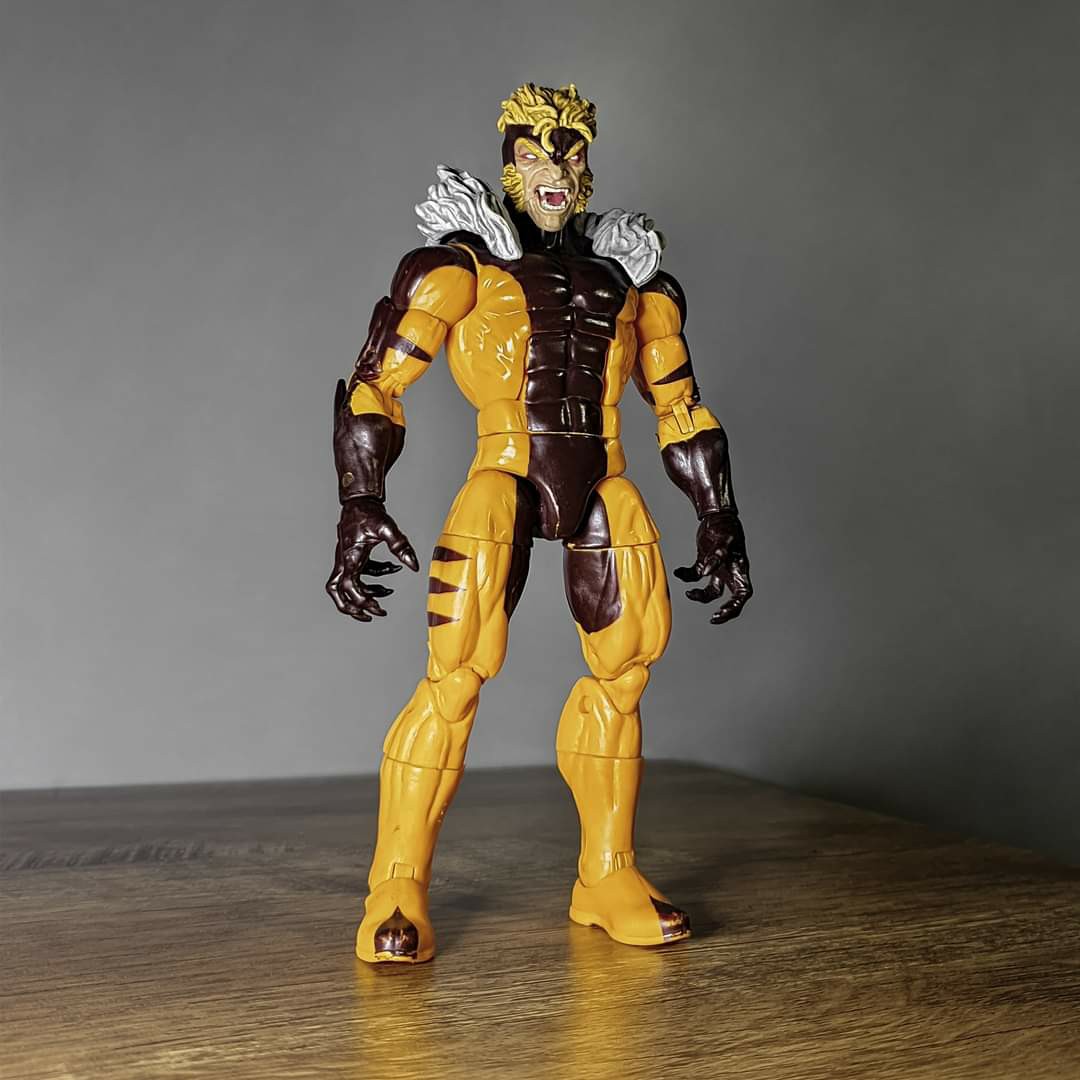 Marvel Legends Sabretooth, Hobbies 