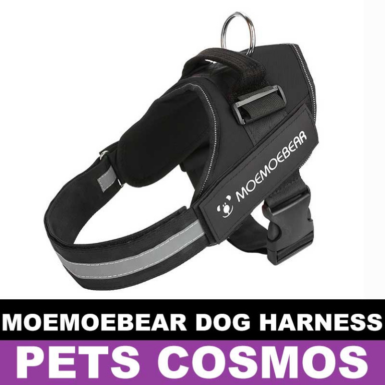 Moemoe bear dog harness outlet
