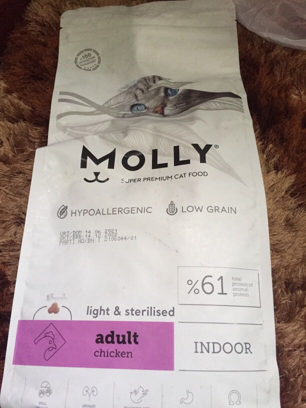 Molly cat food