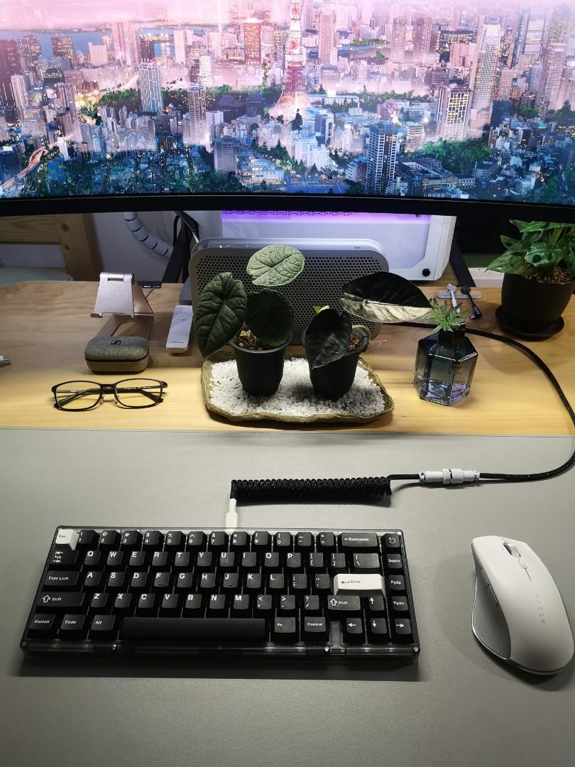 Portico 65 mechanical keyboard Kit, Computers & Tech, Parts