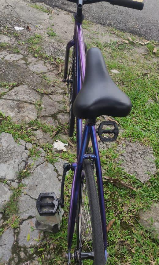 Pistera fixie top