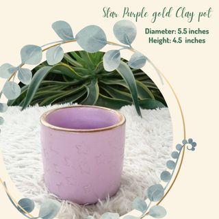 Star Purple gold Clay pot SALE