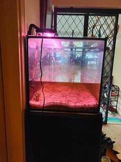(Category: ) located in . Submitted by cassadee (Listing ID 1117909681, Image 1). Description: .