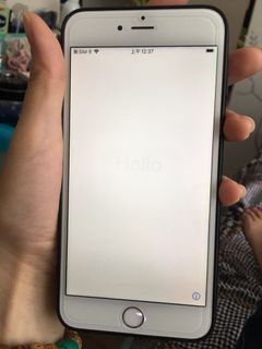 （分類：）位於 。 由 rbc22 提交（商品編號 1117885314，圖片 1）。簡介： 。
