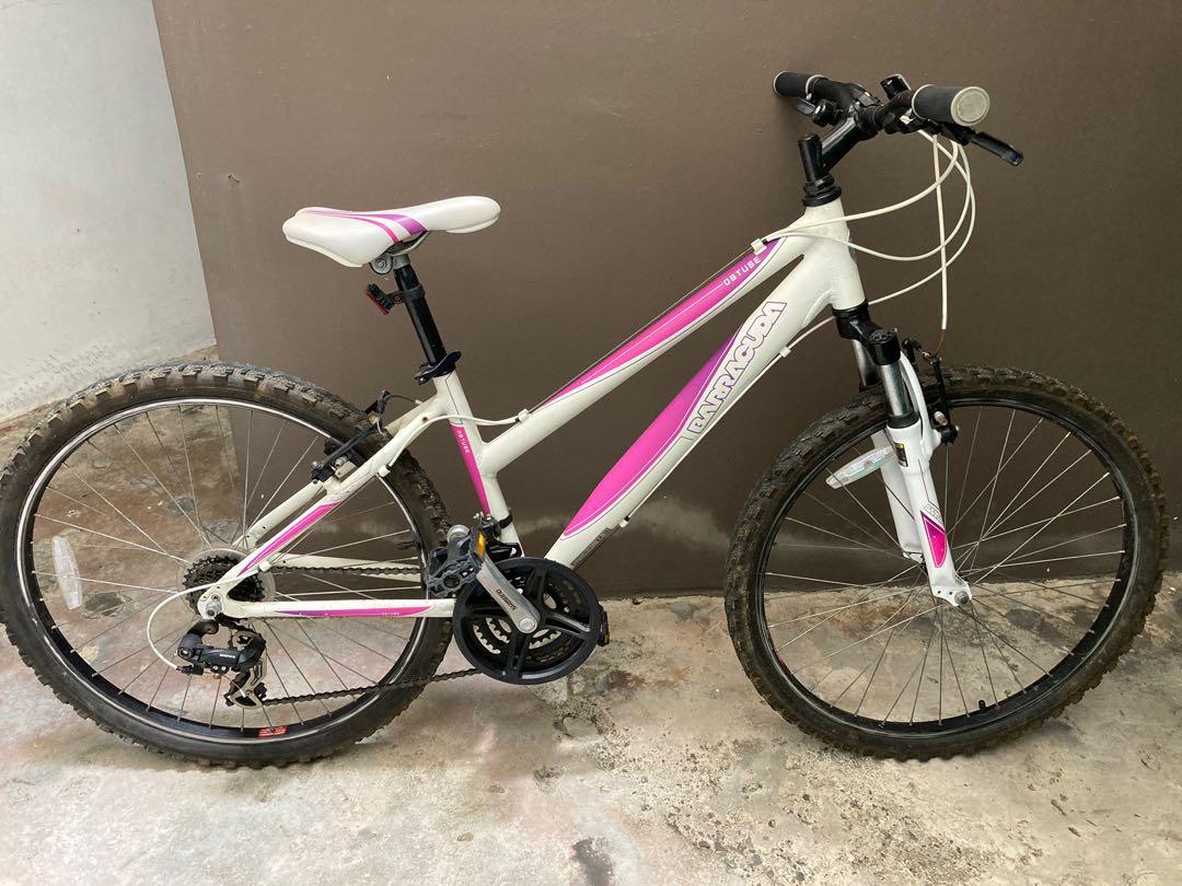 Ladies mountain bike